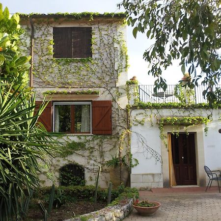Eurialo Green Suites Belvedere  Extérieur photo