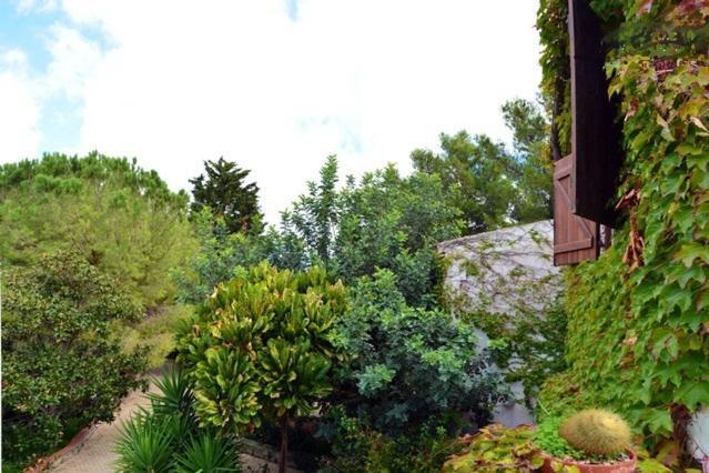 Eurialo Green Suites Belvedere  Extérieur photo