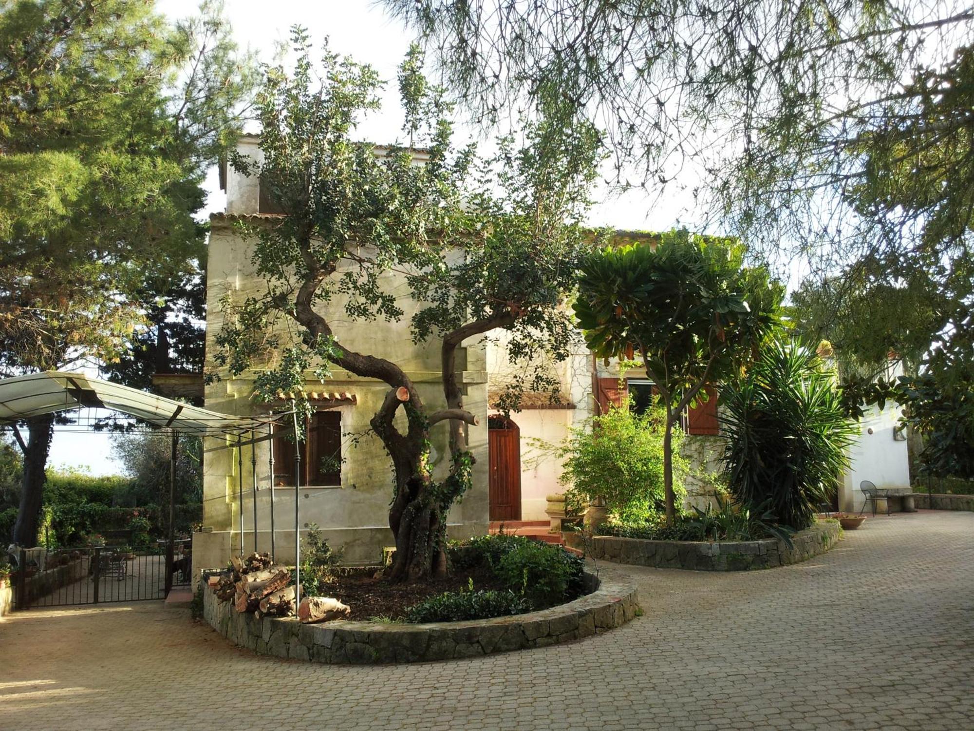 Eurialo Green Suites Belvedere  Extérieur photo