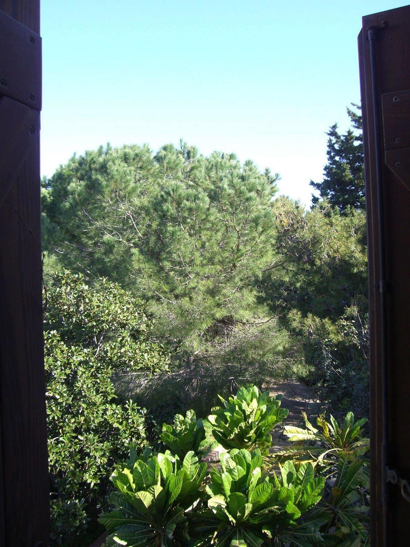 Eurialo Green Suites Belvedere  Extérieur photo